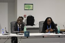 В рамках COP29 состоялось мероприятие по региональным агропродовольственным инициативам (ФОТО)