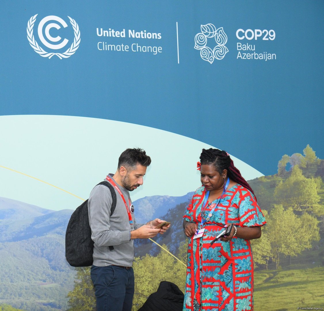 Фоторепортаж с девятого дня COP29 в Баку