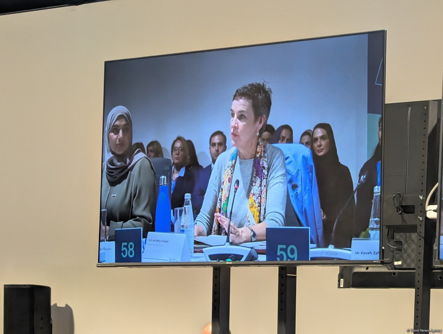 Великобритания приветствует инициативу "Baku Harmoniya" председательства COP29 - министр