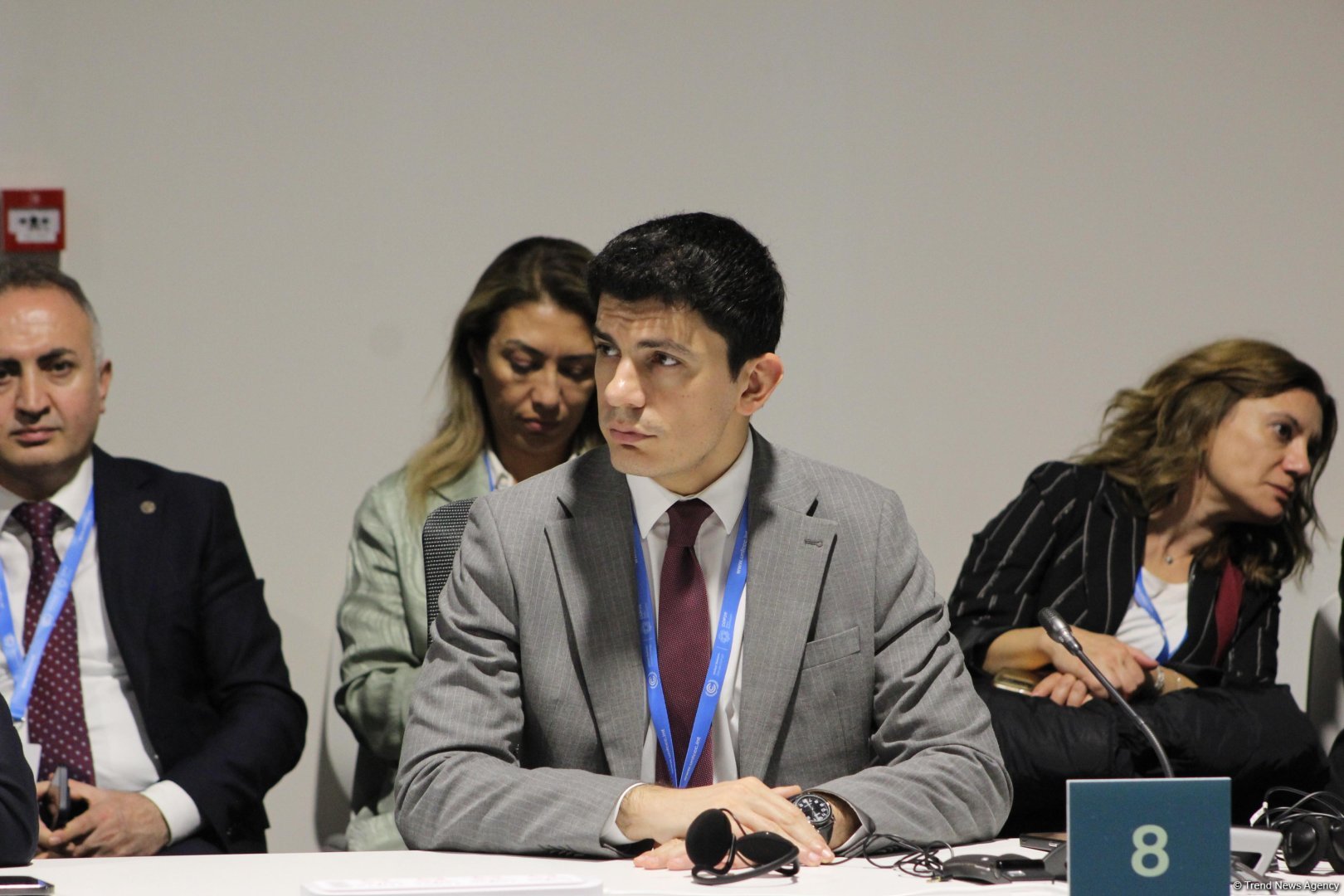 В рамках COP29 состоялось мероприятие по региональным агропродовольственным инициативам (ФОТО)