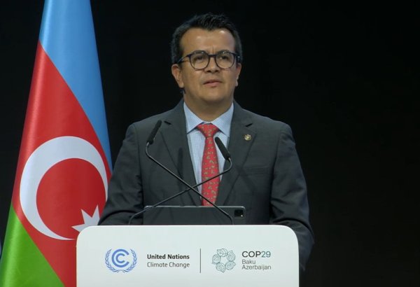 El Salvador converts $1 billion debt into ecosystem protection - minister