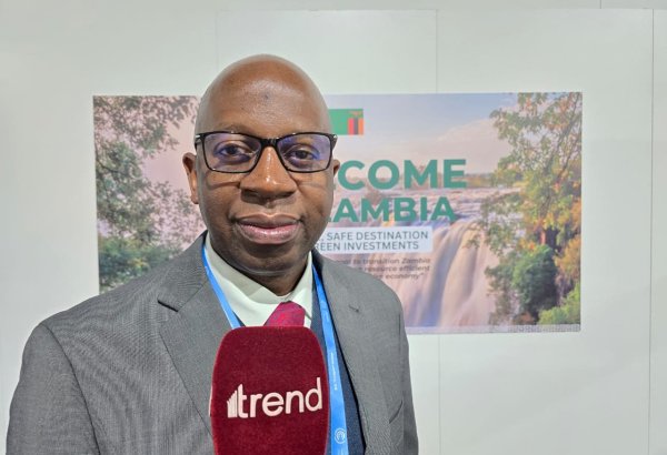 COP for Hope: Climate change issue requires collective effort from all partners - Zambian rep