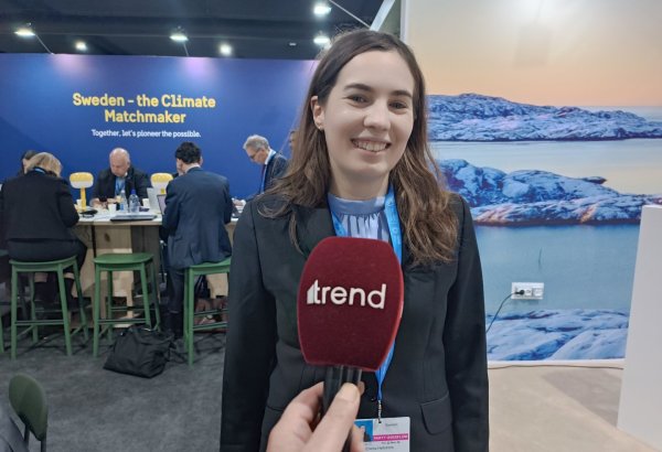 COP29 в Баку организована великолепно - представительница Швеции