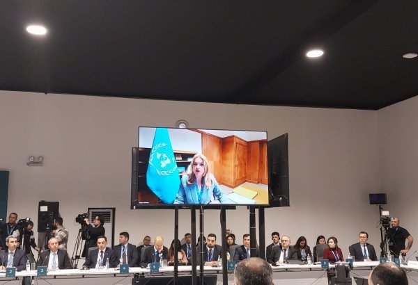 Middle Corridor holds vast potential for digital development - UNECE executive secretary