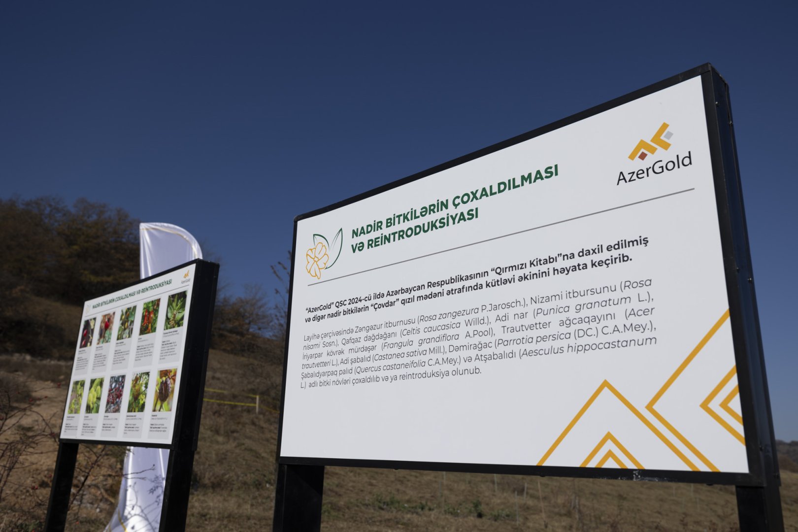 ЗАО «AzerGold» успешно реализовало проект “Реинтродукция редких растений, произрастающих в Дашкесанском районе" (ФОТО)