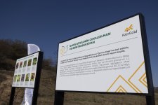ЗАО «AzerGold» успешно реализовало проект “Реинтродукция редких растений, произрастающих в Дашкесанском районе" (ФОТО)