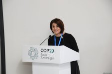 В рамках COP29 обсуждена декарбонизация в морском секторе  (ФОТО)