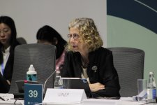 На COP29 состоялся круглый стол на тему энергоэффективности в зеленом строительстве и зданиях и устойчивости к изменению климата в городах (ФОТО)