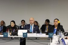 На COP29 состоялся круглый стол на тему энергоэффективности в зеленом строительстве и зданиях и устойчивости к изменению климата в городах (ФОТО)