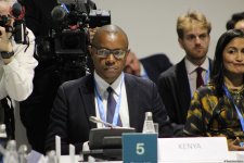 На COP29 состоялся круглый стол на тему энергоэффективности в зеленом строительстве и зданиях и устойчивости к изменению климата в городах (ФОТО)