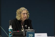 На COP29 состоялся круглый стол на тему энергоэффективности в зеленом строительстве и зданиях и устойчивости к изменению климата в городах (ФОТО)