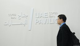 Фоторепортаж с десятого дня COP29 в Баку
