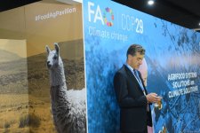 Фоторепортаж с десятого дня COP29 в Баку