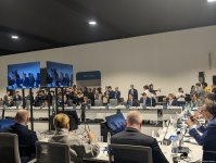 В рамках COP29 состоялся круглый стол высокого уровня на тему "Озеленение городского транспорта" (ФОТО)