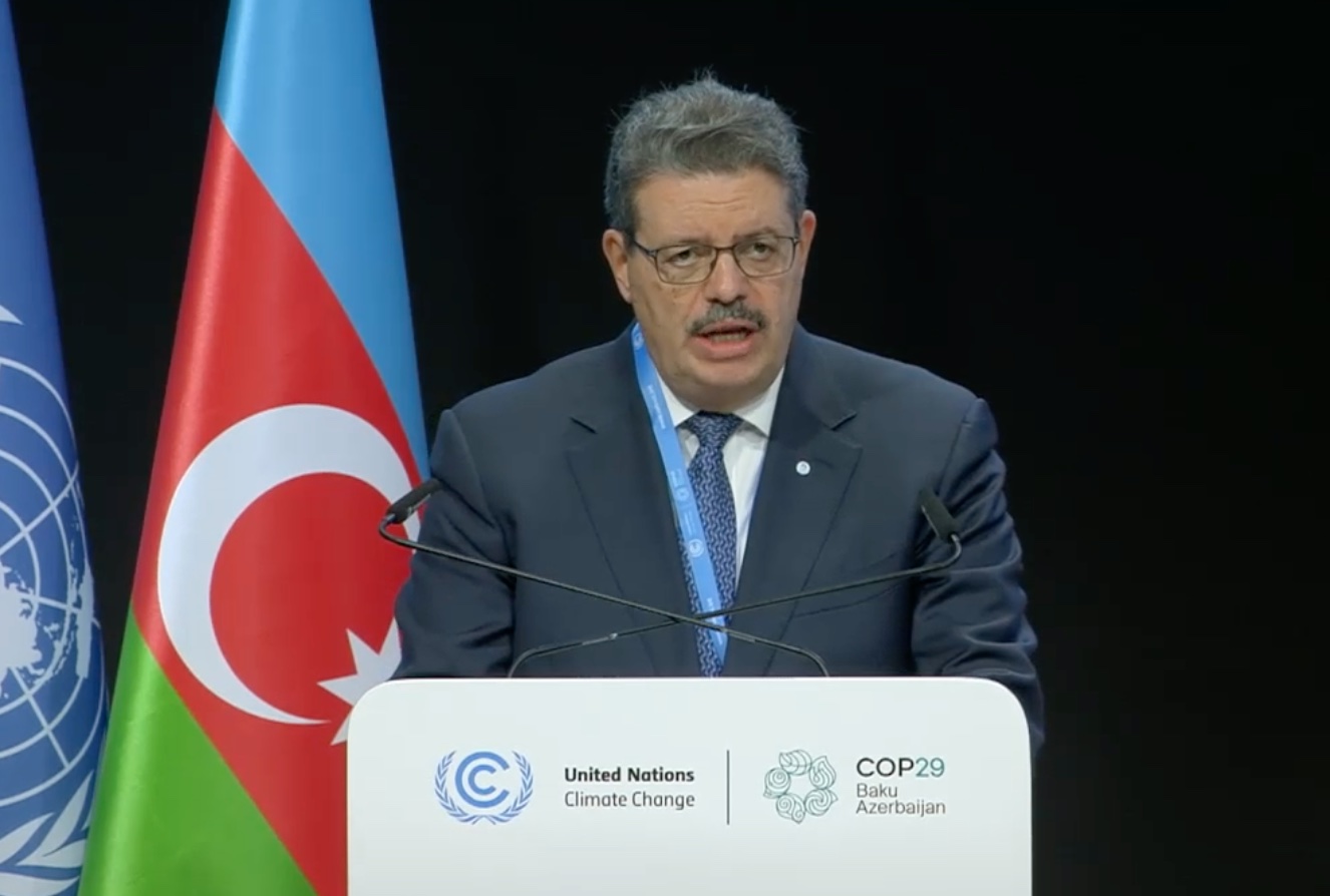 Природный газ играет ключевую роль в глобальной устойчивости - ФСЭГ на COP29