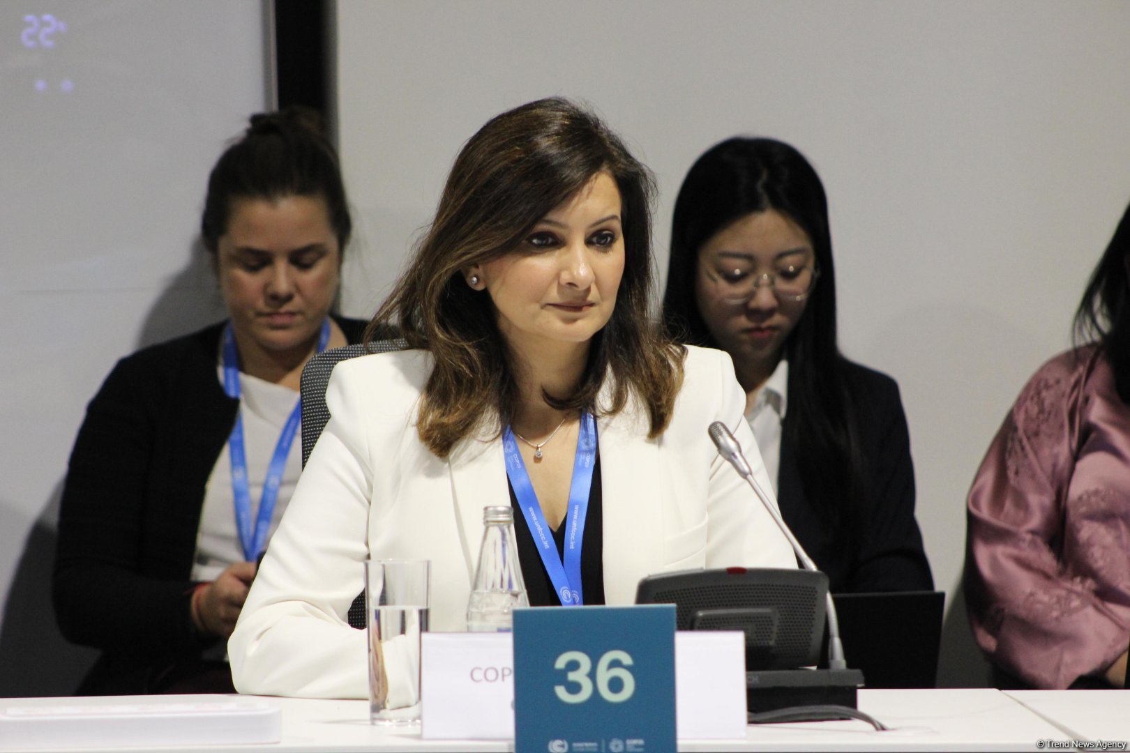 На COP29 состоялся круглый стол на тему энергоэффективности в зеленом строительстве и зданиях и устойчивости к изменению климата в городах (ФОТО)
