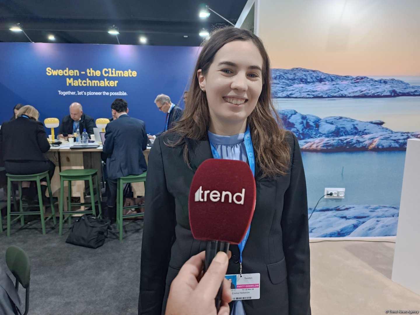 COP29 в Баку организована великолепно - представительница Швеции