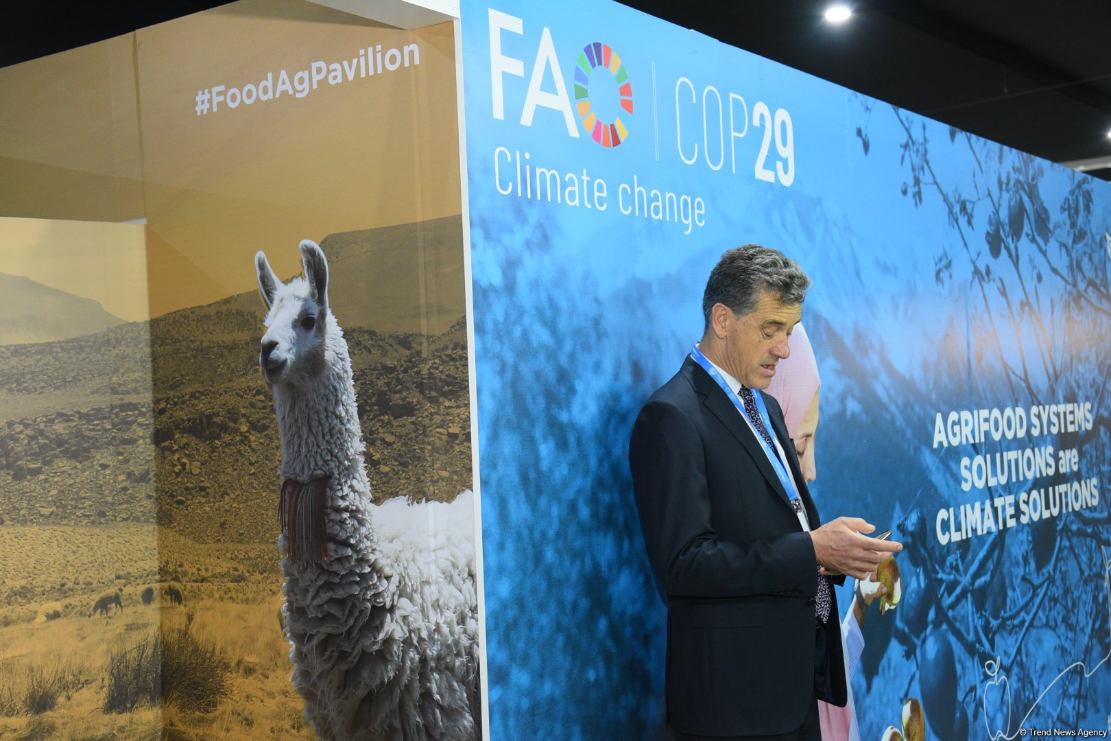 Фоторепортаж с десятого дня COP29 в Баку