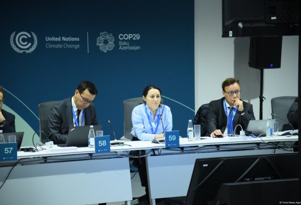 Azerbaijan aspires to create platform raising water issue at every COP conference