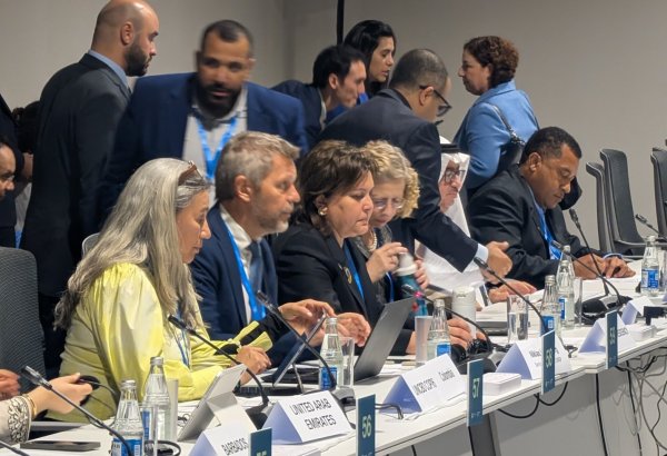 COP29 hosts high-level dialogue on enhancing knowledge sharing