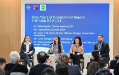 Vice-President of Heydar Aliyev Foundation Leyla Aliyeva participates in COP29 panel on rare species сonservation (PHOTO)