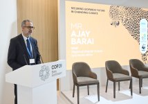 Вице-президент Фонда Гейдара Алиева Лейла Алиева в рамках COP29 выступила на мероприятии, посвященном защите леопардов (ФОТО)