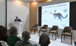 Вице-президент Фонда Гейдара Алиева Лейла Алиева в рамках COP29 выступила на мероприятии, посвященном защите леопардов (ФОТО)