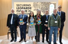 Вице-президент Фонда Гейдара Алиева Лейла Алиева в рамках COP29 выступила на мероприятии, посвященном защите леопардов (ФОТО)