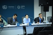 В рамках COP29 состоялся круглый стол высокого уровня на тему взаимодействие биоразнообразия, водных ресурсов и климата (ФОТО)