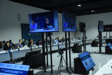 В рамках COP29 состоялся круглый стол высокого уровня на тему взаимодействие биоразнообразия, водных ресурсов и климата (ФОТО)