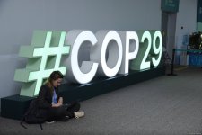 Фоторепортаж с одиннадцатого дня COP29 в Баку