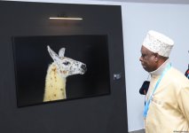 Фоторепортаж с одиннадцатого дня COP29 в Баку