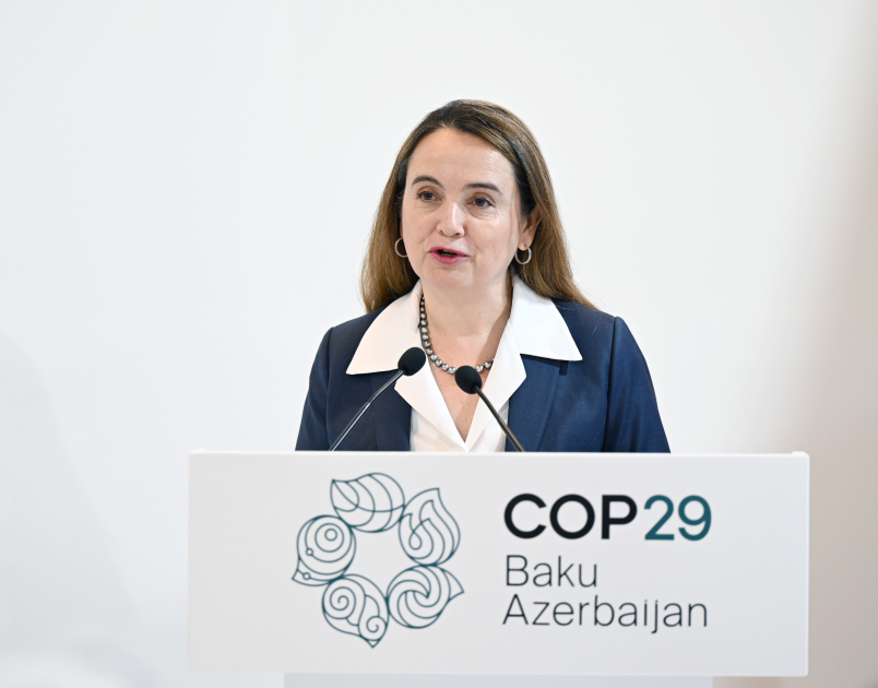 Vice-President of Heydar Aliyev Foundation Leyla Aliyeva participates in COP29 panel on rare species сonservation (PHOTO)