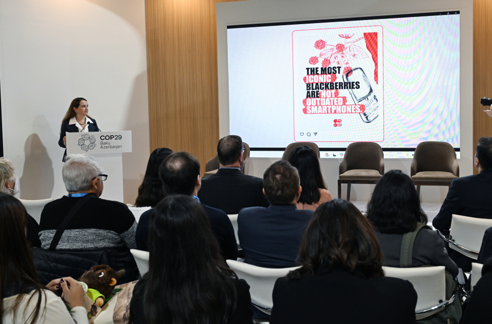 Vice-President of Heydar Aliyev Foundation Leyla Aliyeva participates in COP29 panel on rare species сonservation (PHOTO)