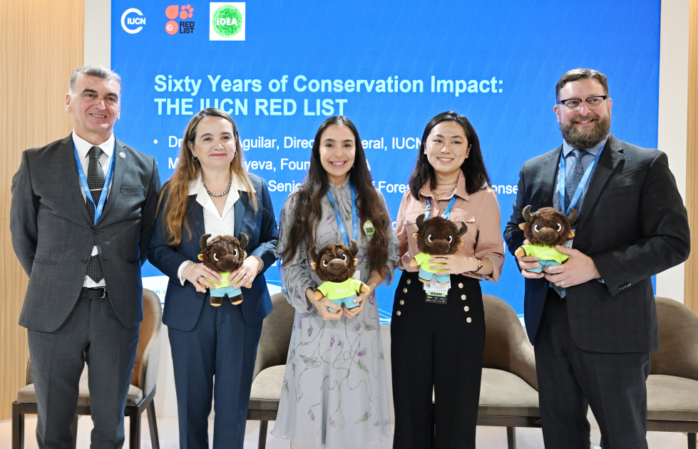 Vice-President of Heydar Aliyev Foundation Leyla Aliyeva participates in COP29 panel on rare species сonservation (PHOTO)
