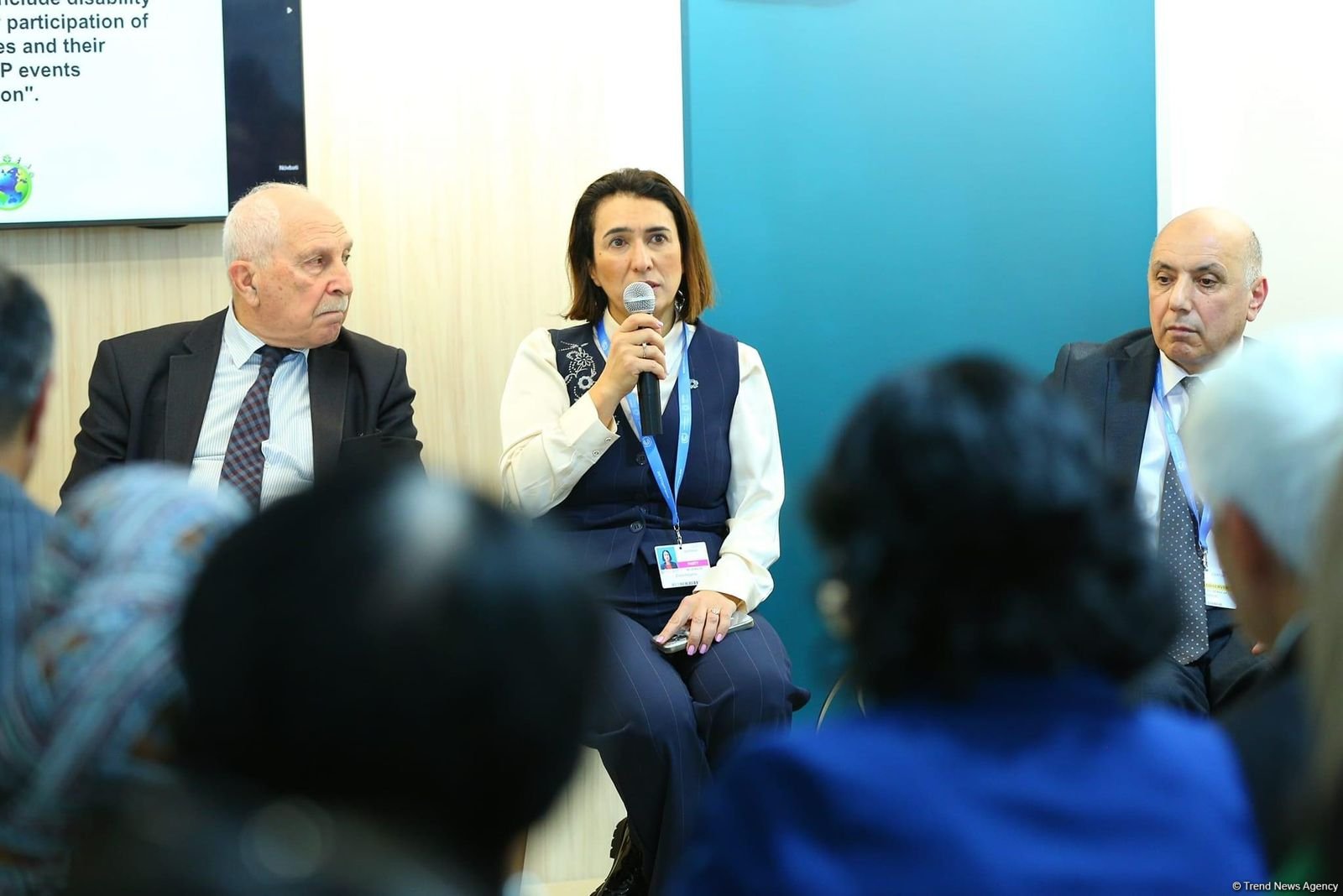 На COP29 прошло мероприятие на тему "Инклюзивность во имя "зеленого" мира" (ФОТО)