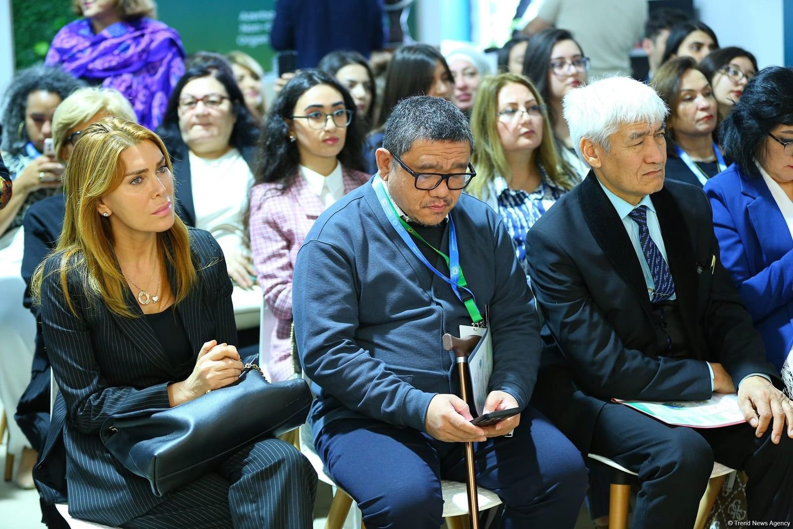 На COP29 прошло мероприятие на тему "Инклюзивность во имя "зеленого" мира" (ФОТО)