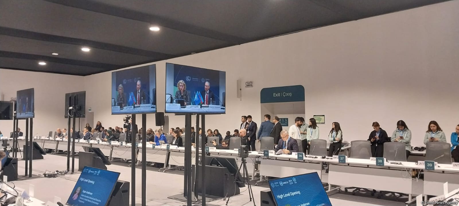 119 стран подали свои национальные цели по биоразнообразию - UNEP