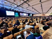 Состоялось заключительное пленарное заседание COP29 (ФОТО/ВИДЕО)
