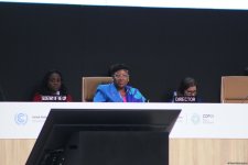 Состоялось заключительное пленарное заседание COP29 (ФОТО/ВИДЕО)