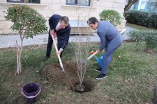 Между Азербайджаном и Бразилией обсуждены перспективы развития туристических связей (ФОТО)