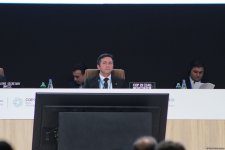 Состоялось заключительное пленарное заседание COP29 (ФОТО/ВИДЕО)