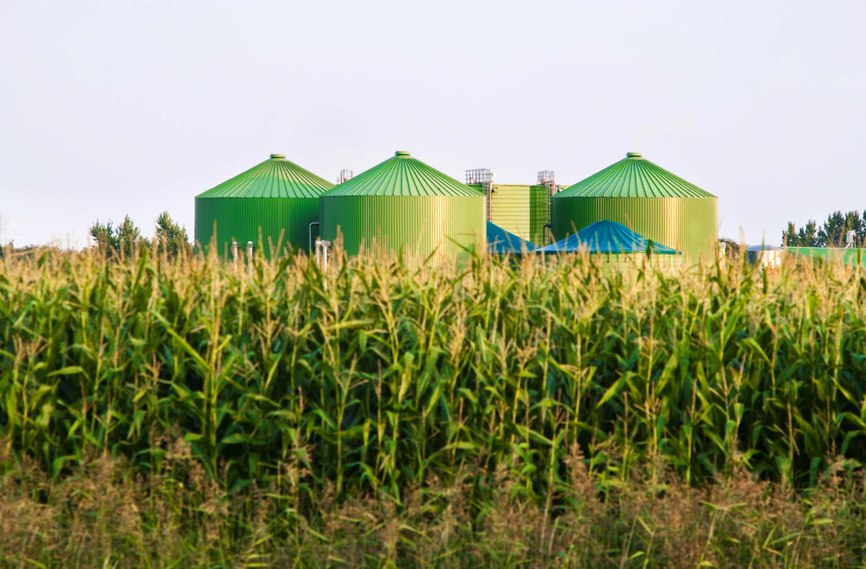 Rystad Energy forecasts significant growth in biofuel production by 2030