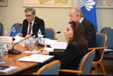 Депутат Амина Агазаде избрана заместителем председателя Постоянной комиссии МПА СНГ по правовым вопросам (ФОТО)