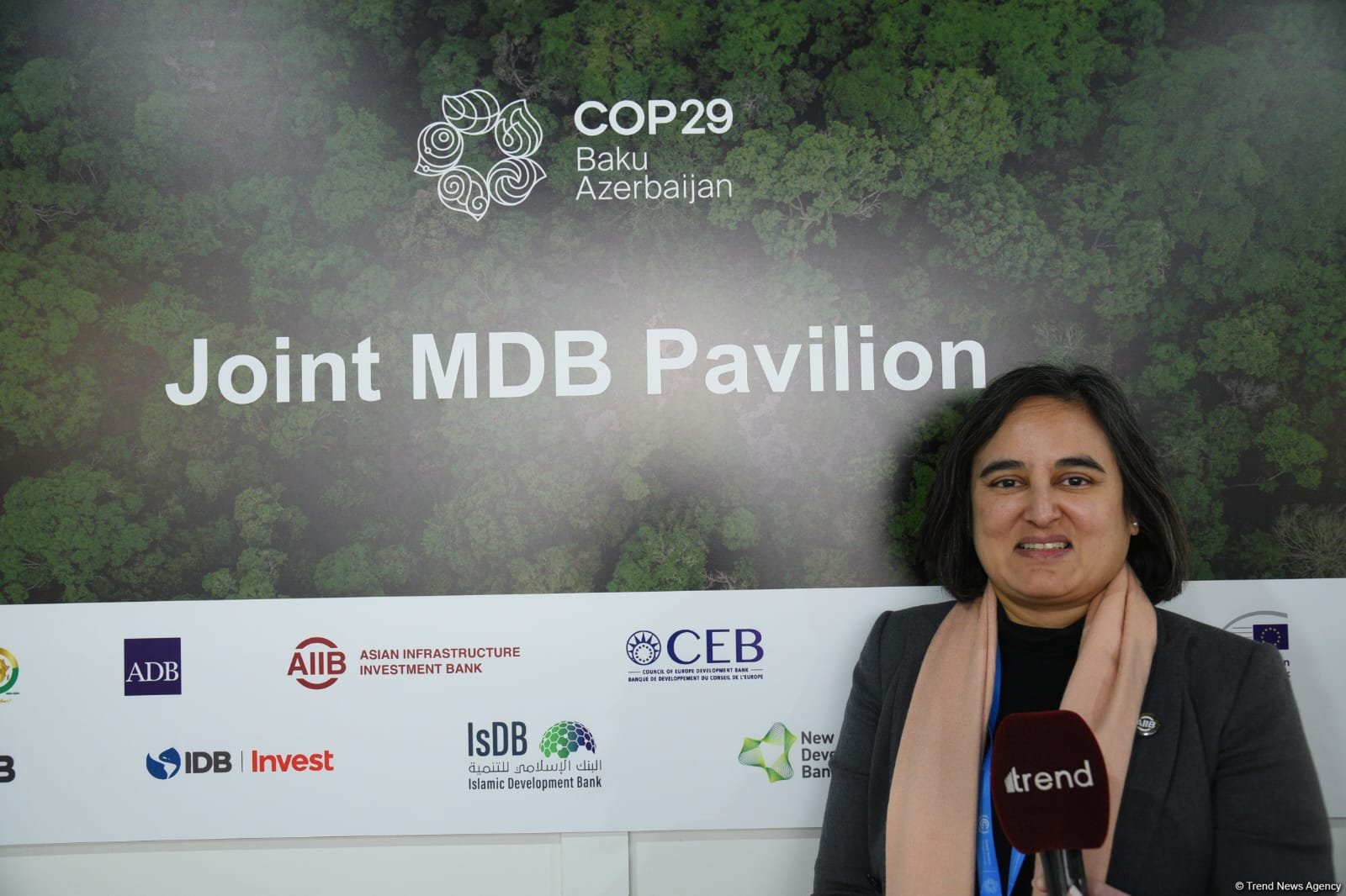 COP29 предоставила МБР новые возможности для сотрудничества в области климата - представитель АБИИ (Эксклюзивное интервью) (ФОТО)