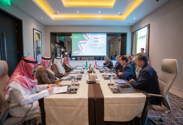 Tajikistan, Saudi Arabia give thumbs up on establishing joint business council