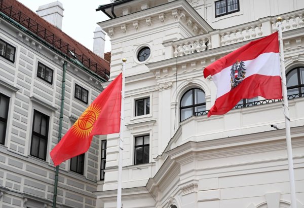 Austria highlights key factors for boosting trade with Kyrgyzstan (Exclusive)