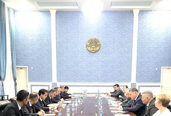 Tajikistan, Uzbekistan discuss state border demarcation