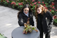 Президент Ильхам Алиев, Первая леди Мехрибан Алиева и члены их семьи приняли участие в открытии Центрального ботанического сада (ФОТО/ВИДЕО)