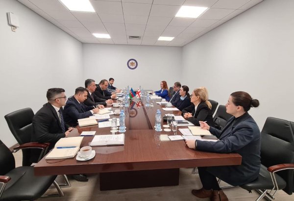Azerbaijan, Georgia hold consular consultations (PHOTO)